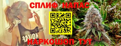 дурь Гусев