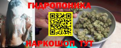 дурь Гусев